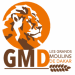 LOGO_GMD_PNG